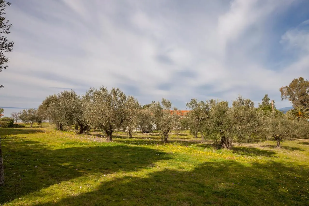 Holiday home Nikiti Blue Lagoon! Villa