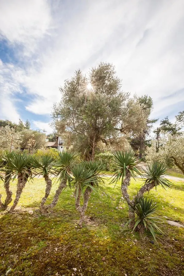 Holiday home Nikiti Blue Lagoon! Villa