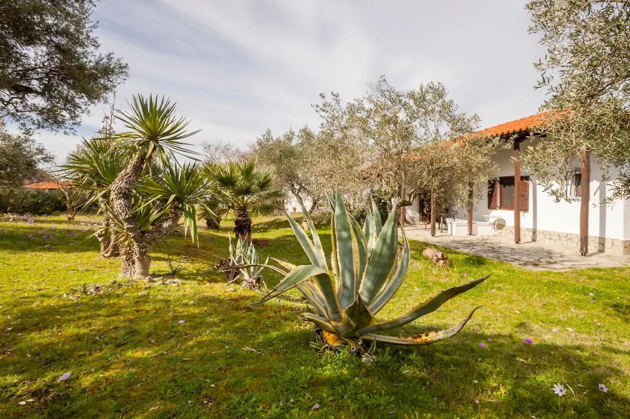 Holiday home Nikiti Blue Lagoon! Villa